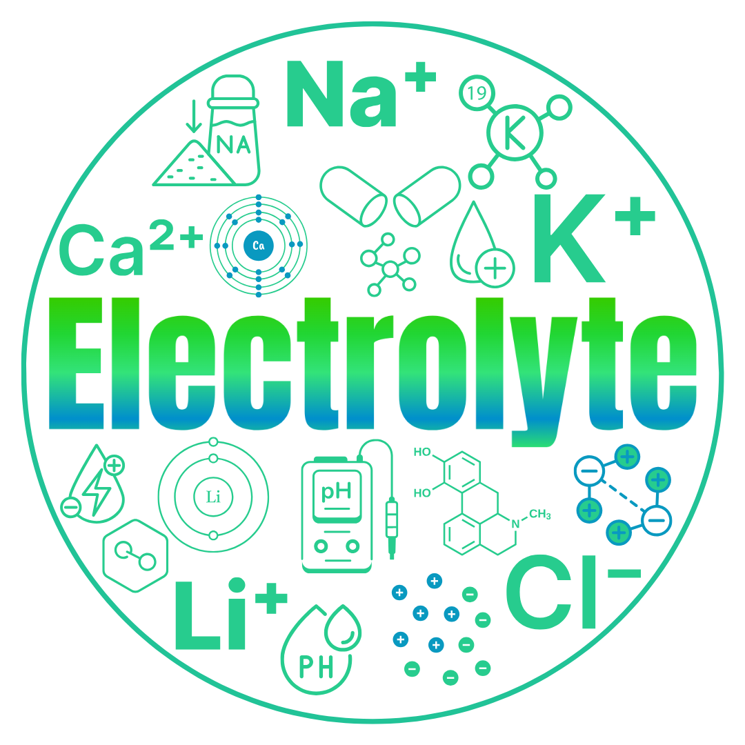 Electrolyte Analyzer